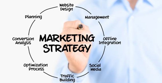 Business Coach and Mentor: Get Meet the High Professional Business Coach in Toronto
